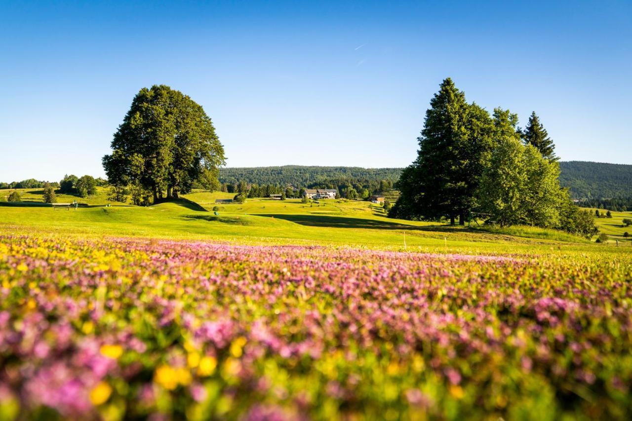 Domaine Du Mont-Saint-Jean Hotel เลรูส ภายนอก รูปภาพ